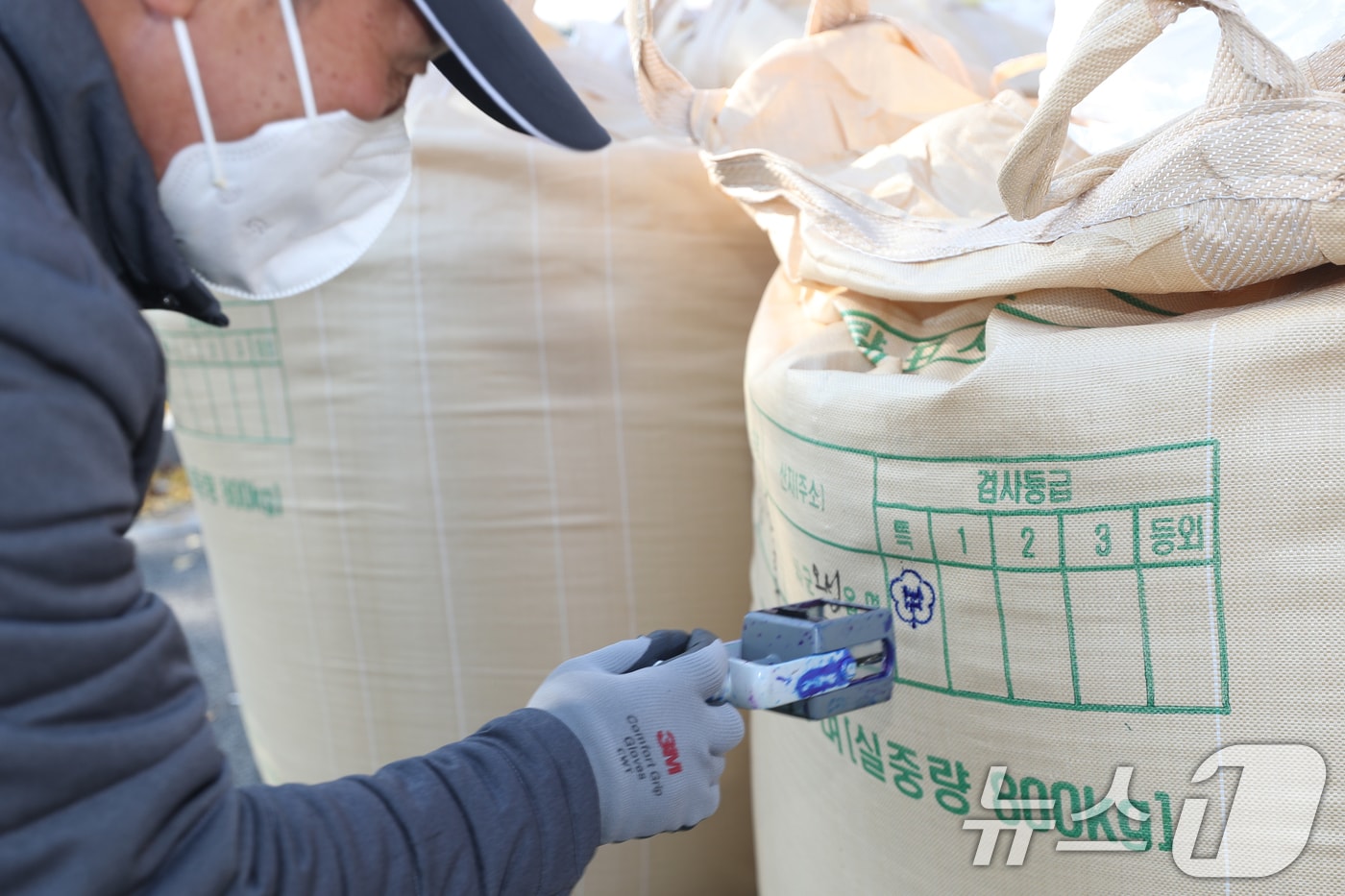 공공비축 포대벼 매입 장면(자료사진)/뉴스1 