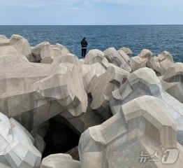 테트라포드&#40;중부지방해양경찰청 제공&#41;/뉴스1