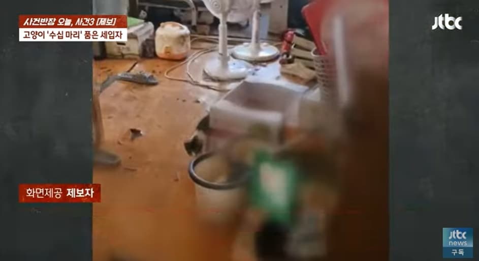 (JTBC '사건반장' 갈무리)