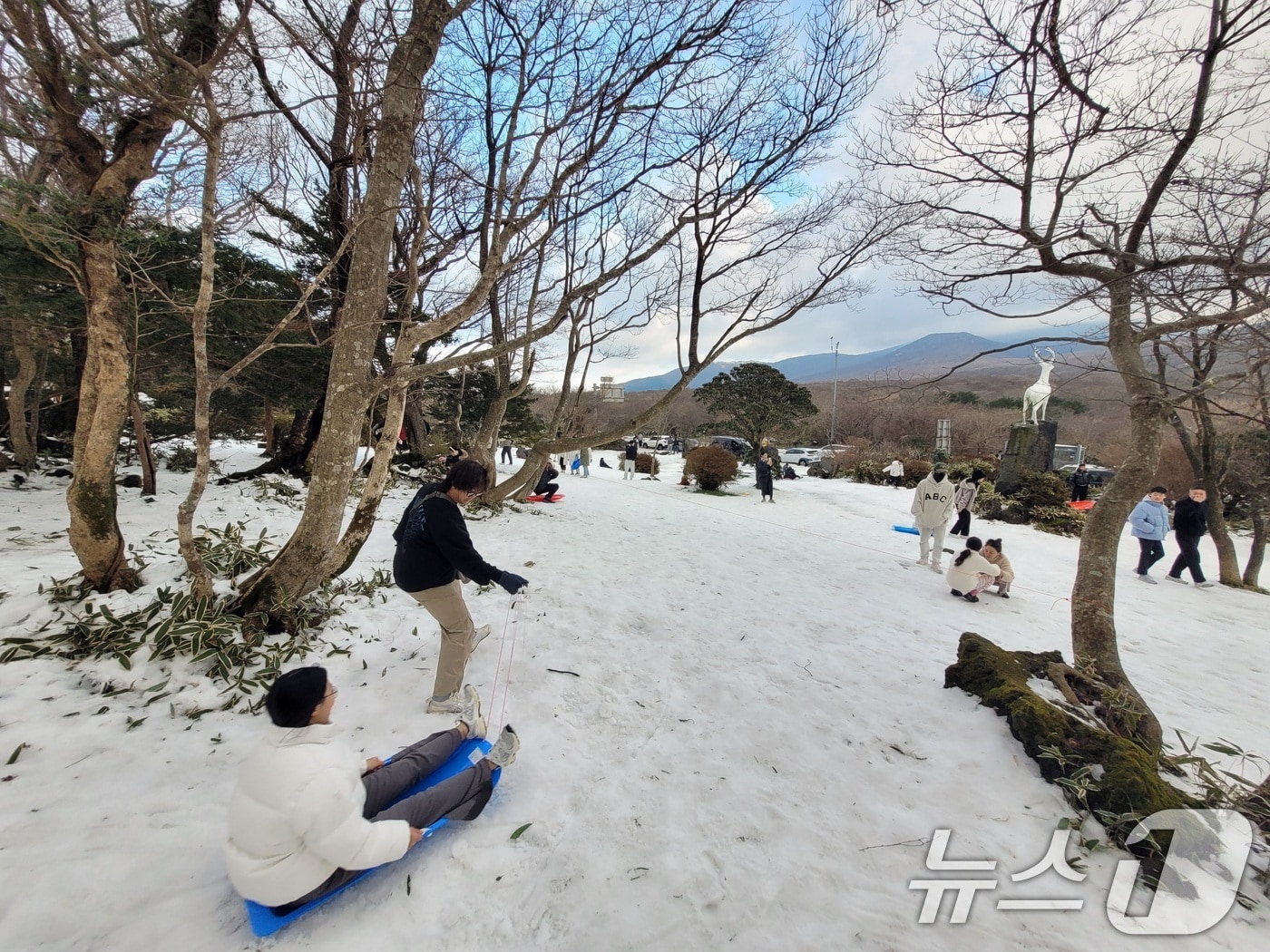 1일 오후 한라산국립공원 1100고 휴게소 인근에서 관광객들이 겨울 정취를 만끽하고 있다.2024.12.1/뉴스1 ⓒ News1 고동명 기자