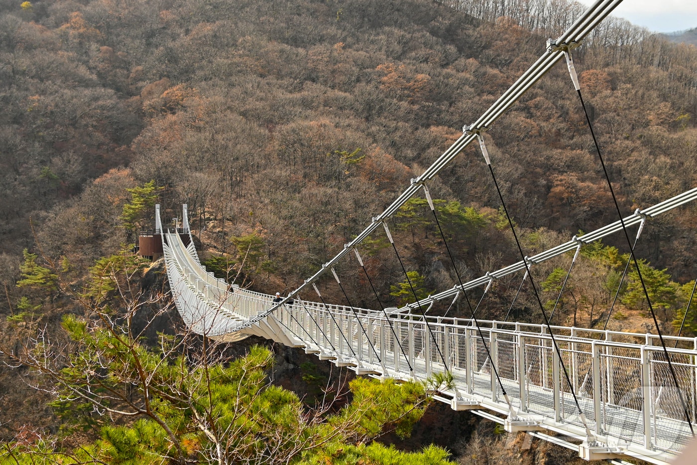 전북자치도 진안군이 20일부터 ‘운일암반일암 구름다리’를 통제한다.&#40;진안군제공&#41;2024.12.13/뉴스1