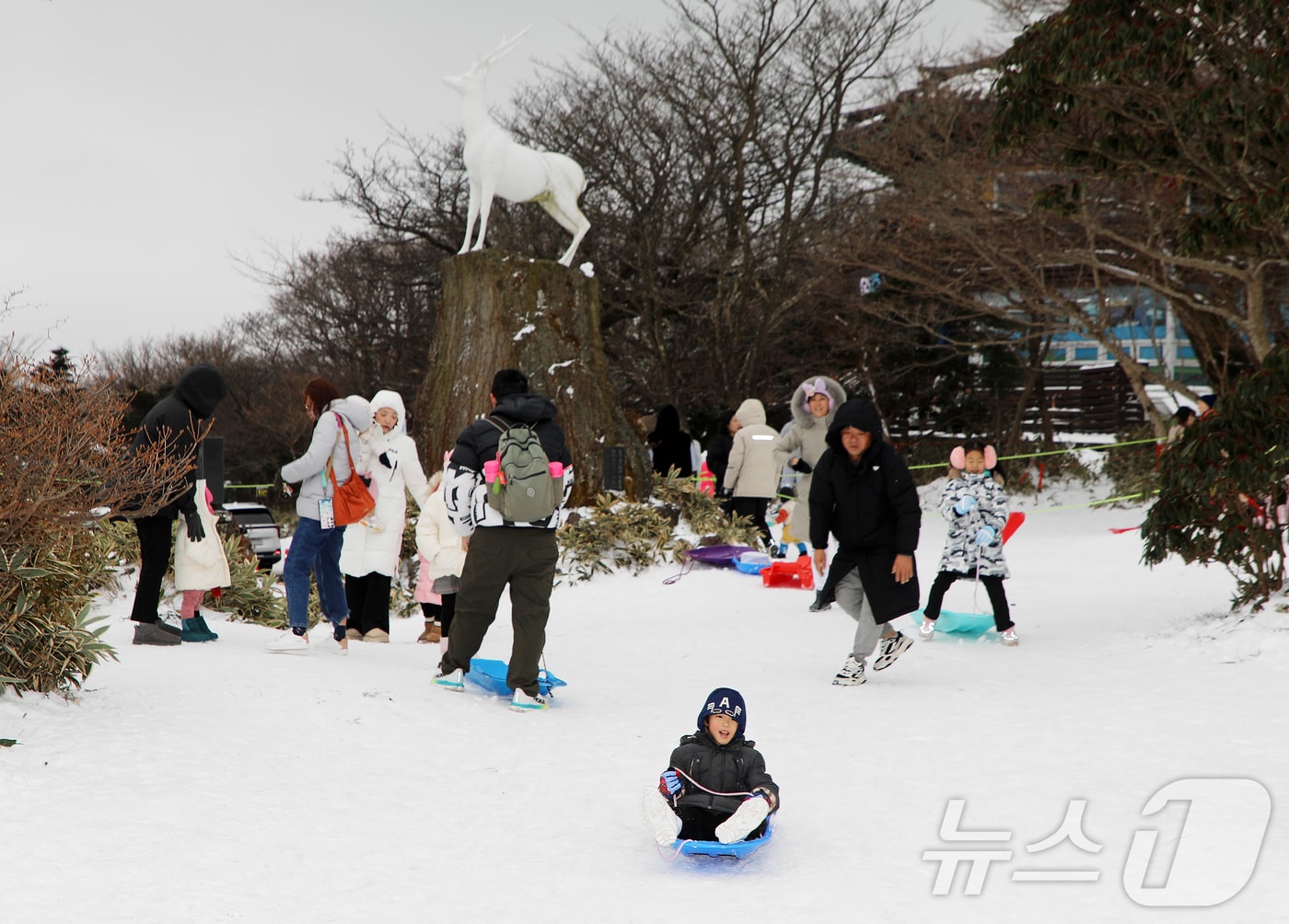 15일 오후 제주 한라산 1100고지습지 인근 눈밭에서 아이들이 눈썰매를 타고 있다.2024.12.15./뉴스1 ⓒ News1 오미란 기자