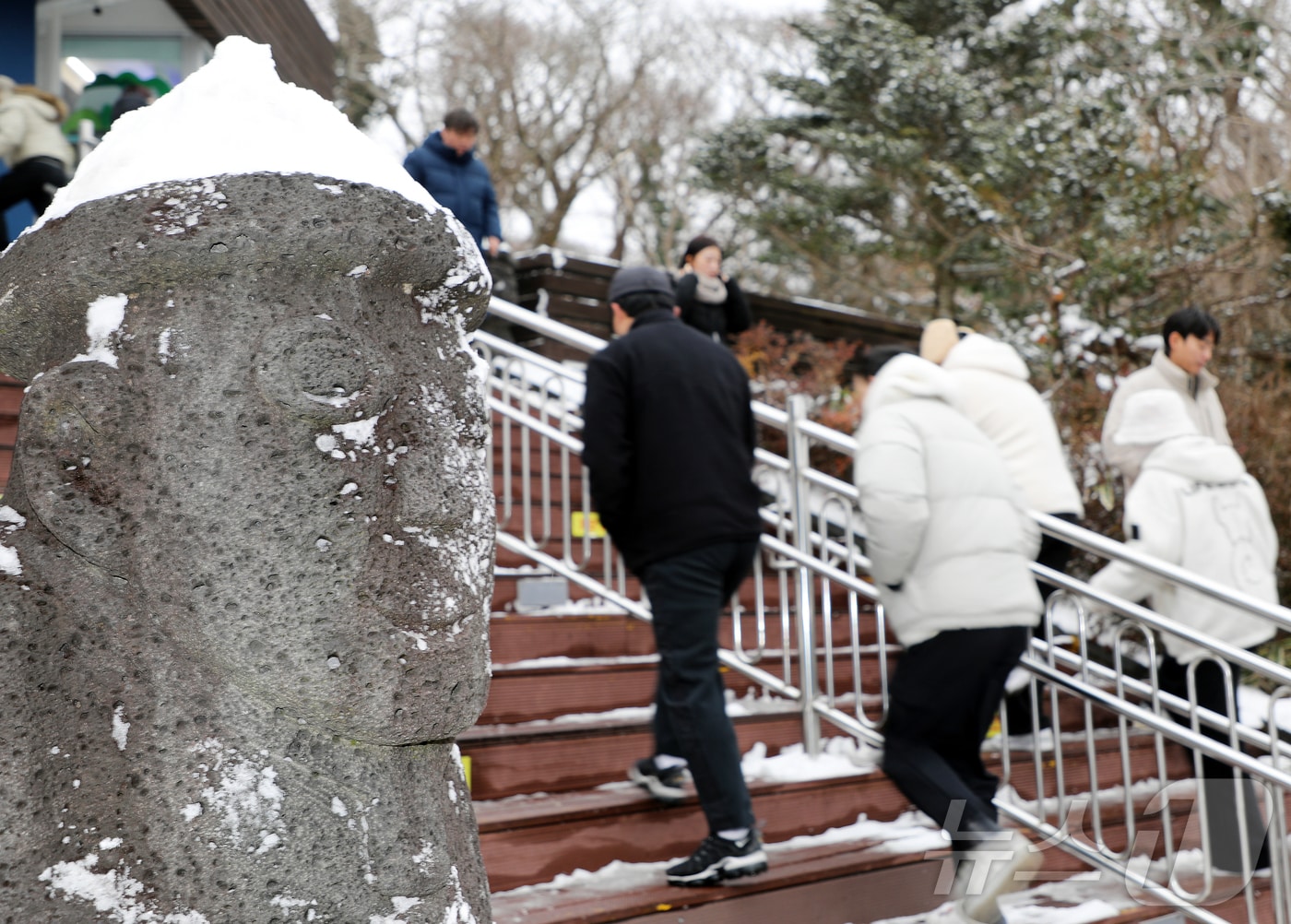 제주 한라산 1100고지습지 앞 돌하르방 위로 흰 눈이 쌓여 있다.2024.12.15./뉴스1 ⓒ News1 오미란 기자