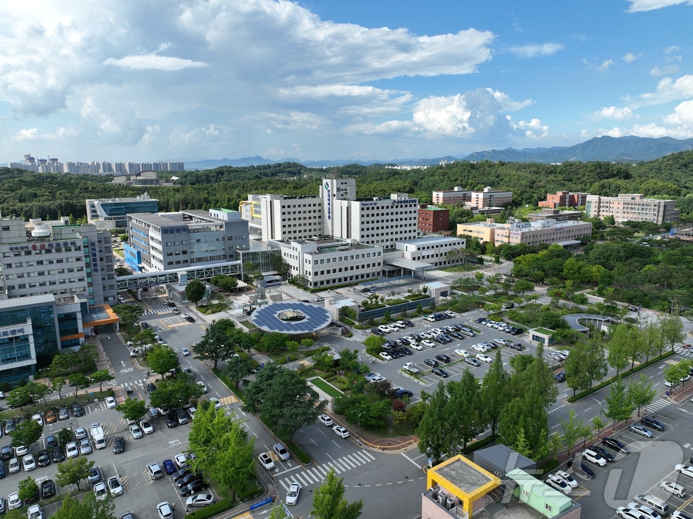 전북대학교병원은 질병관리청의 &#39;2024년 제20차 퇴원 손상 심층 조사&#39;에서 보건복지부 장관상을 받았다고 17일 밝혔다.&#40;전북대병원 제공&#41;2024.12.17/뉴스1