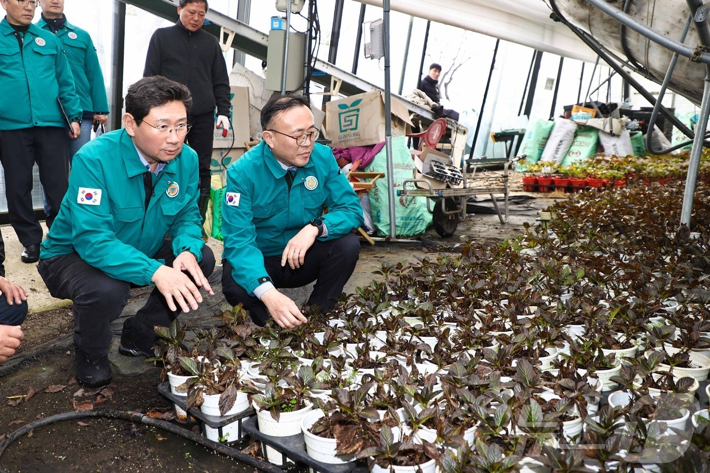 이상일 용인시장&#40;왼쪽&#41;과 이한경 행정안전부 차관이 폭설 피해를 입은 처인구 남사읍 진목리 화훼농가에서 피해 상황을 확인하고 있는 모습.&#40;용인시 제공&#41;.