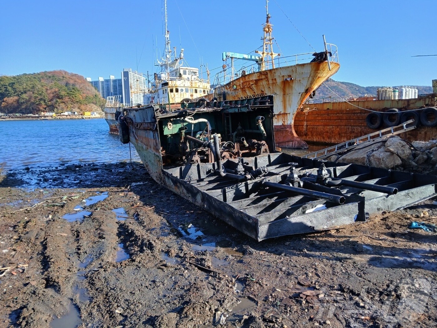 부산 북항 5부두에 장기계류된 선박.(부산지방해양수산청 제공)