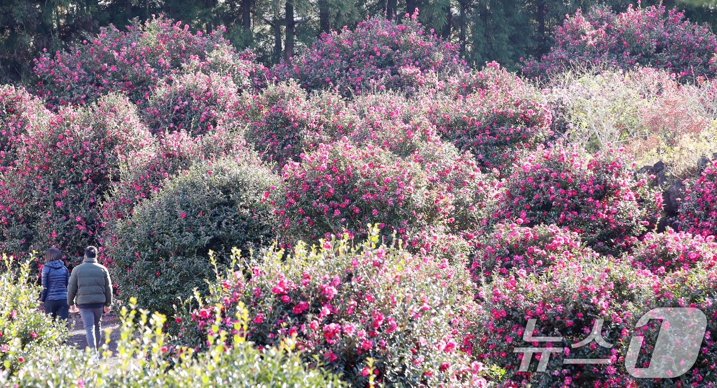 자료사진.ⓒ 뉴스1