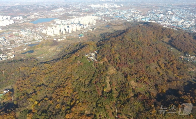 전주 황방산 서고산성 조사 지역.&#40;전주시 제공&#41;/뉴스1