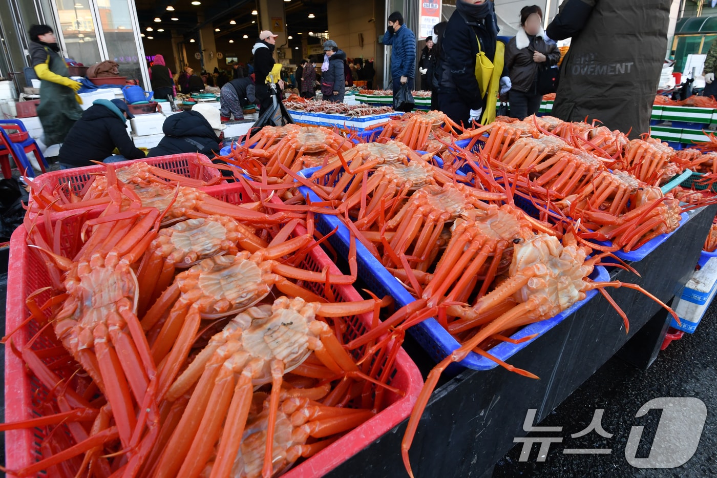 22일 경북 포항시 죽도어시장에서 상인들이 제철을 맞은 홍게를 내놓고 손님을 기다리고 있다. 2024.12.22/뉴스1 ⓒ News1 최창호 기자