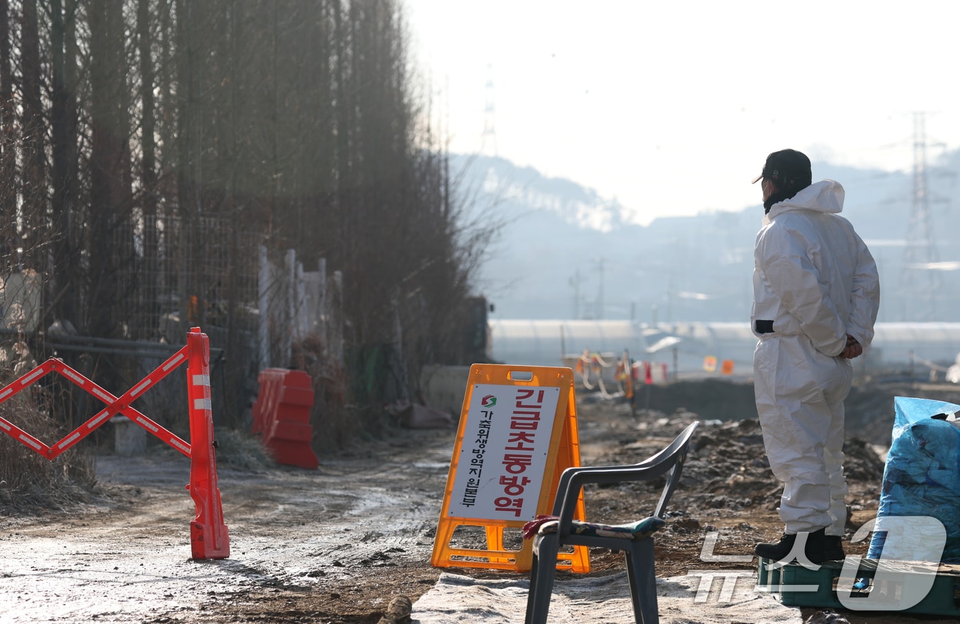 지난해 12월 23일 오전 고병원성 조류인플루엔자(AI)가 발생한 경기 화성시 팔탄면의 한 농장이 통제되고 있다. 뉴스1 ⓒ News1 김영운 기자