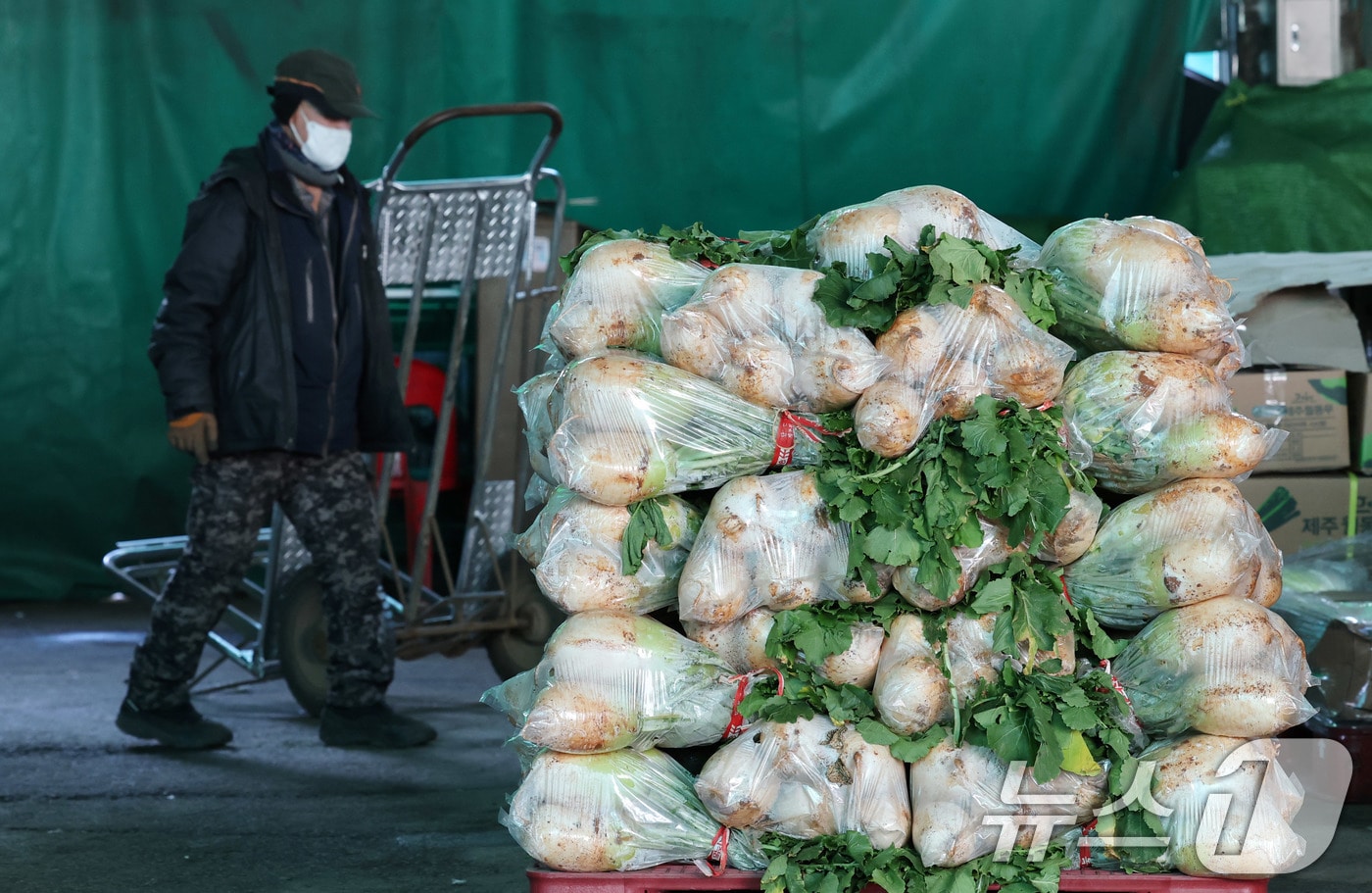 ⓒ News1 박세연 기자