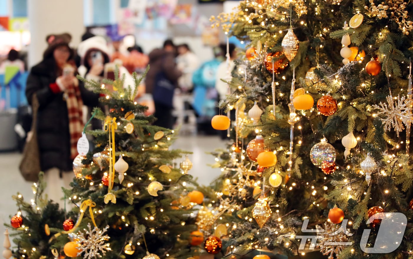 자료사진. ⓒ News1 