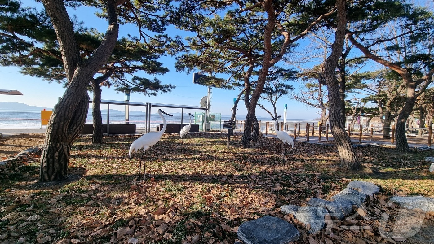 동막해변&#40;인천 강화군 제공&#41;/뉴스1