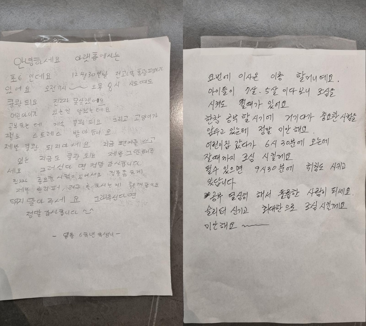 (보배드림 갈무리)