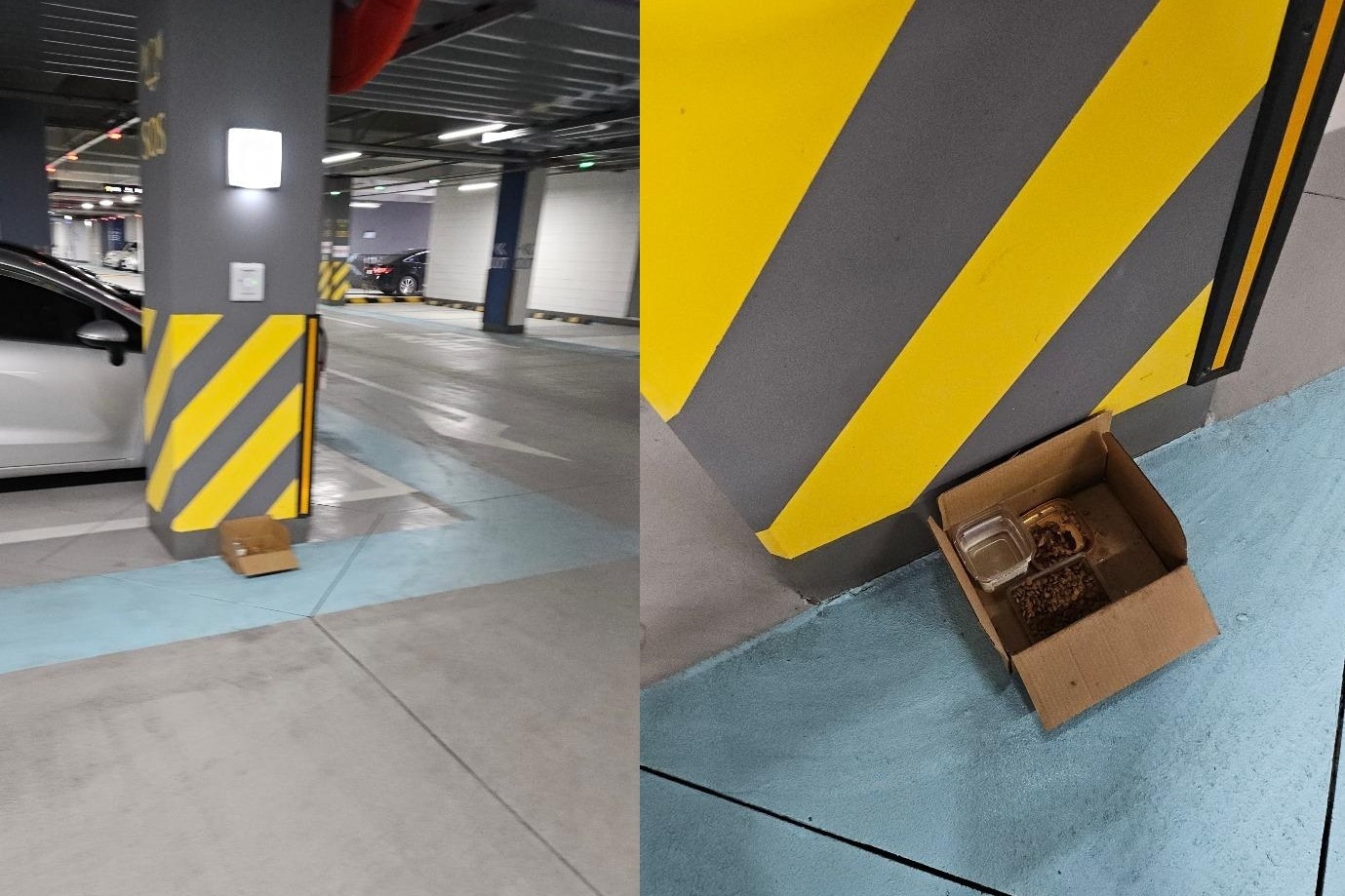 (보배드림 갈무리)