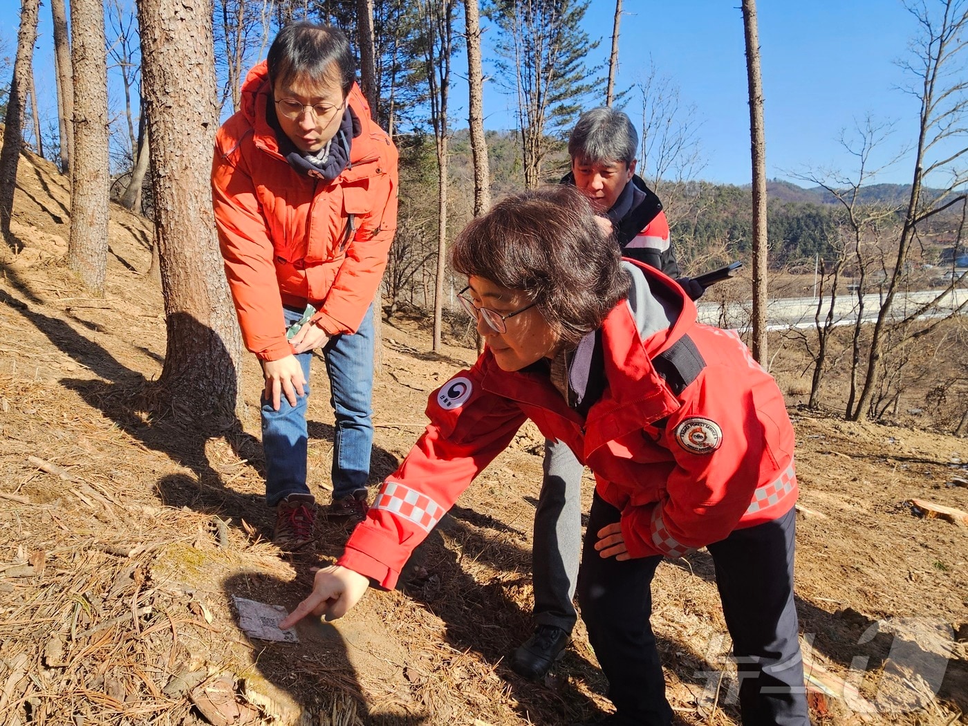 이미라 산림청 차장이 강원도 홍천군 소나무재선충 방제 사업지를 찾아 현장을 점검하고 있다.&#40;산림청 제공&#41;/뉴스1