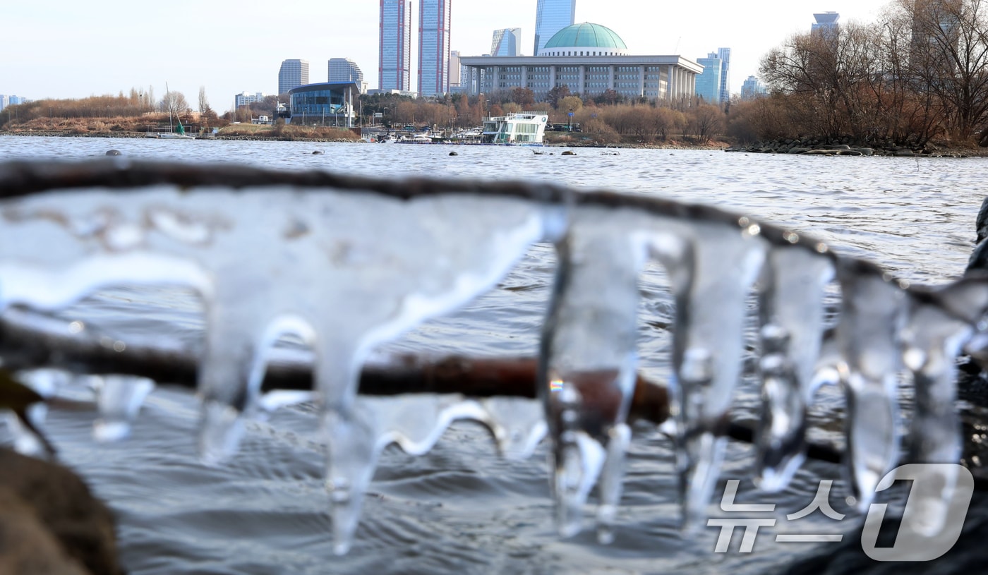 서울 여의도 한강변 나뭇가지에 열린 고드름&#40;사진은 기사 내용과 무관함&#41; / 뉴스1 ⓒ News1