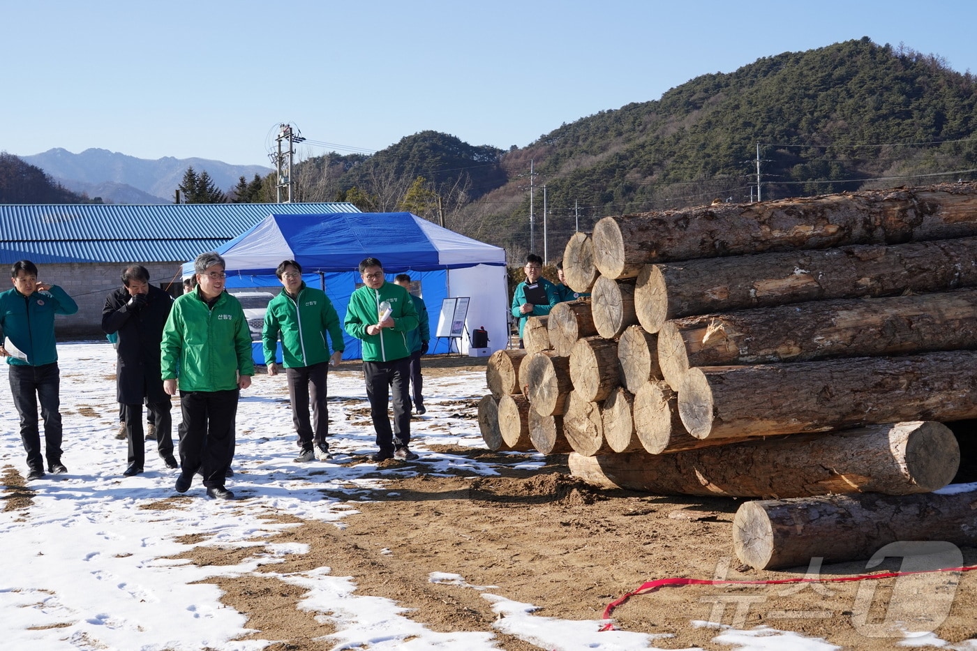 임상섭 산림청장이 강원도 평창군 국립목재집하장 대상지에서 목재를 확인하고 있다.&#40;산림청 제공&#41;/뉴스1