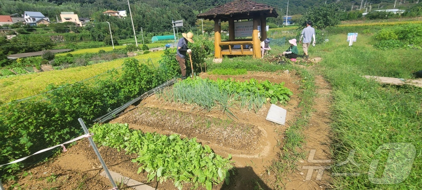 동부산 기장군 철마면 공영텃밭.&#40;부산시청 제공&#41;