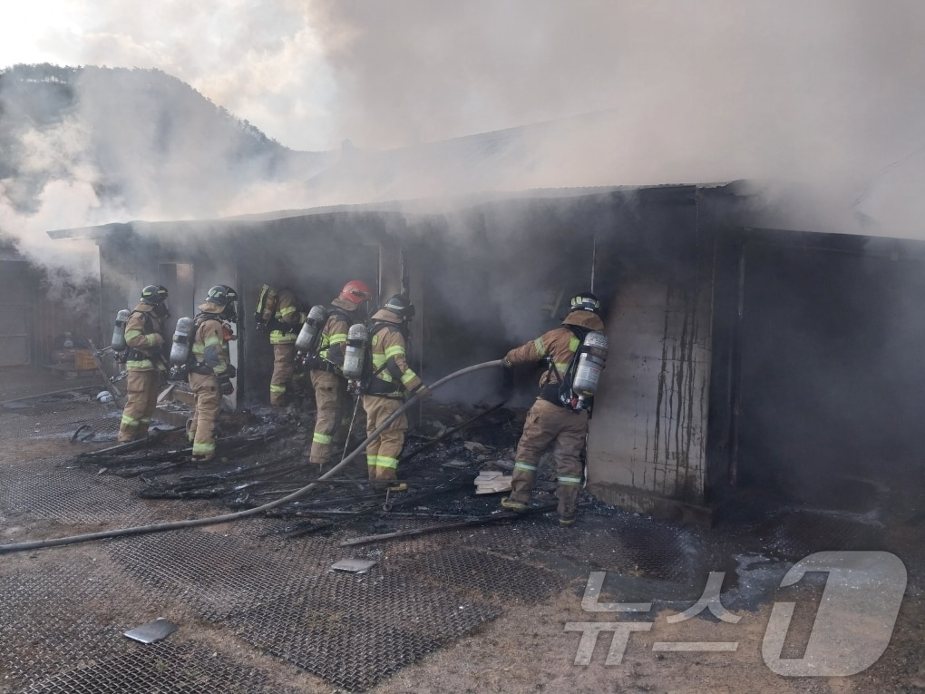 30일 오후 3시17분쯤 경북 경주시 현곡면 래태리의 주택에서 불이 나 80대 남성이 숨졌다.(경북소방본부 제공)2024.12.31/뉴스1