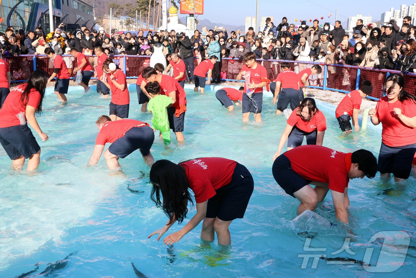평창송어축제 자료사진. (뉴스1 DB)
