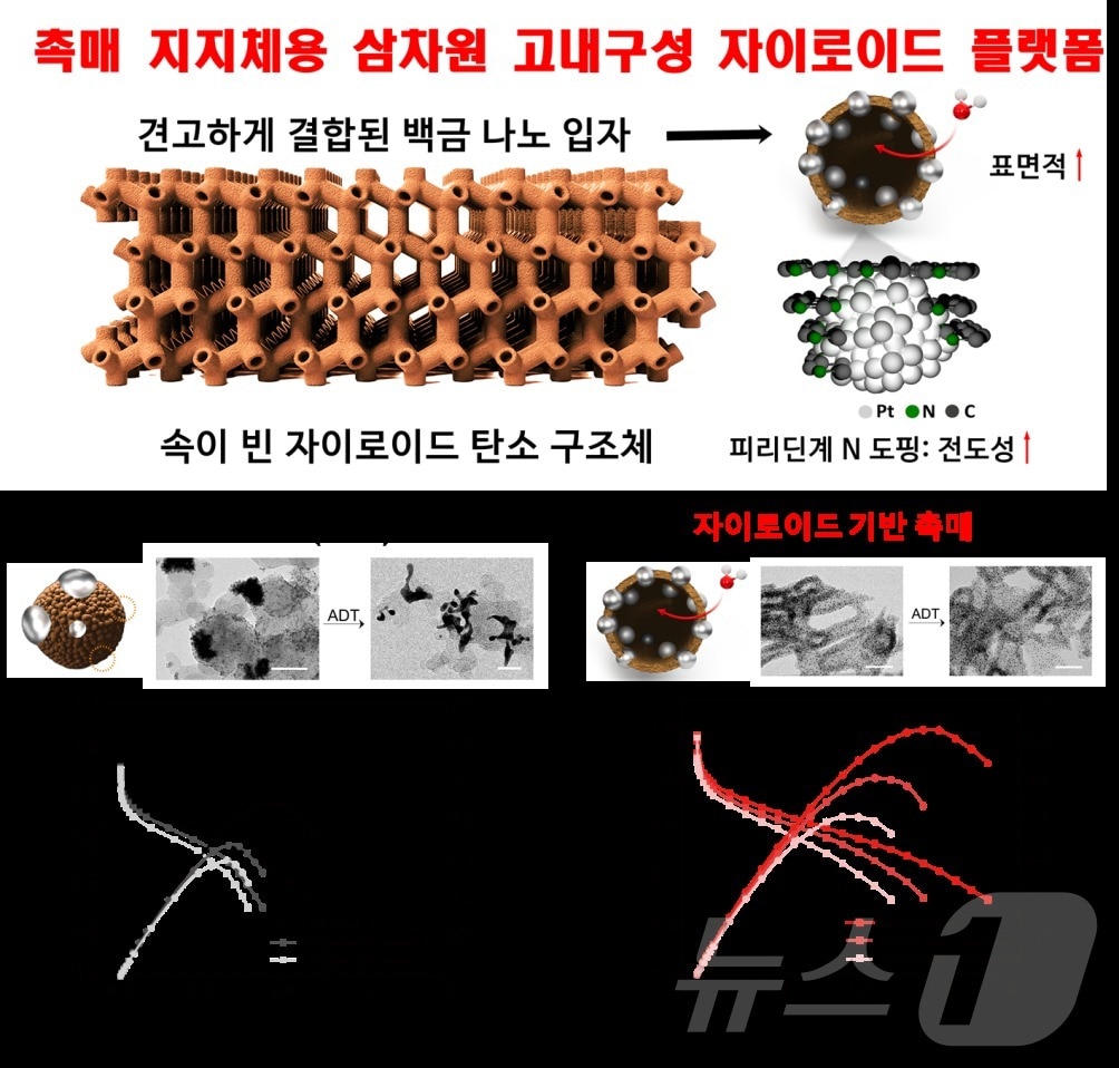 자기 조립된 속이 빈 자이로이드 탄소 구조체 기반 고내구성 촉매 플랫폼 연구 개략도 및 상용 촉매와의 성능 비교 이미지.&#40;KAIST 제공&#41;/뉴스1