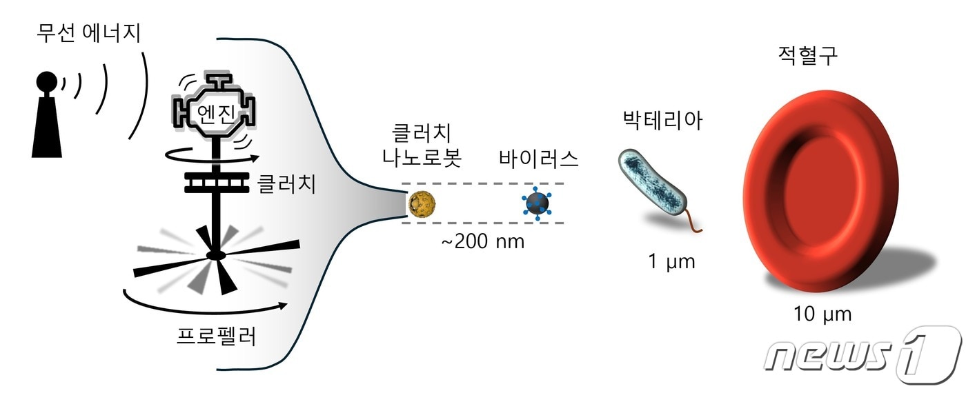 클러치 나노로봇 크기를 나타낸 모식도. &#40;IBS 제공&#41;/뉴스1