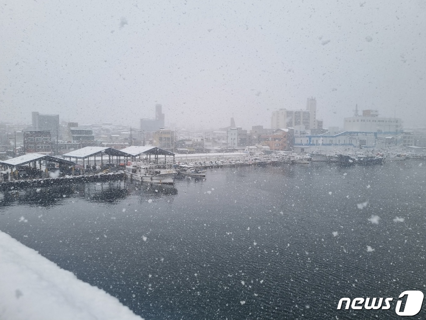 눈 내리는 강릉 주문진항 자료사진.(뉴스1 DB) ⓒ News1 윤왕근 기자
