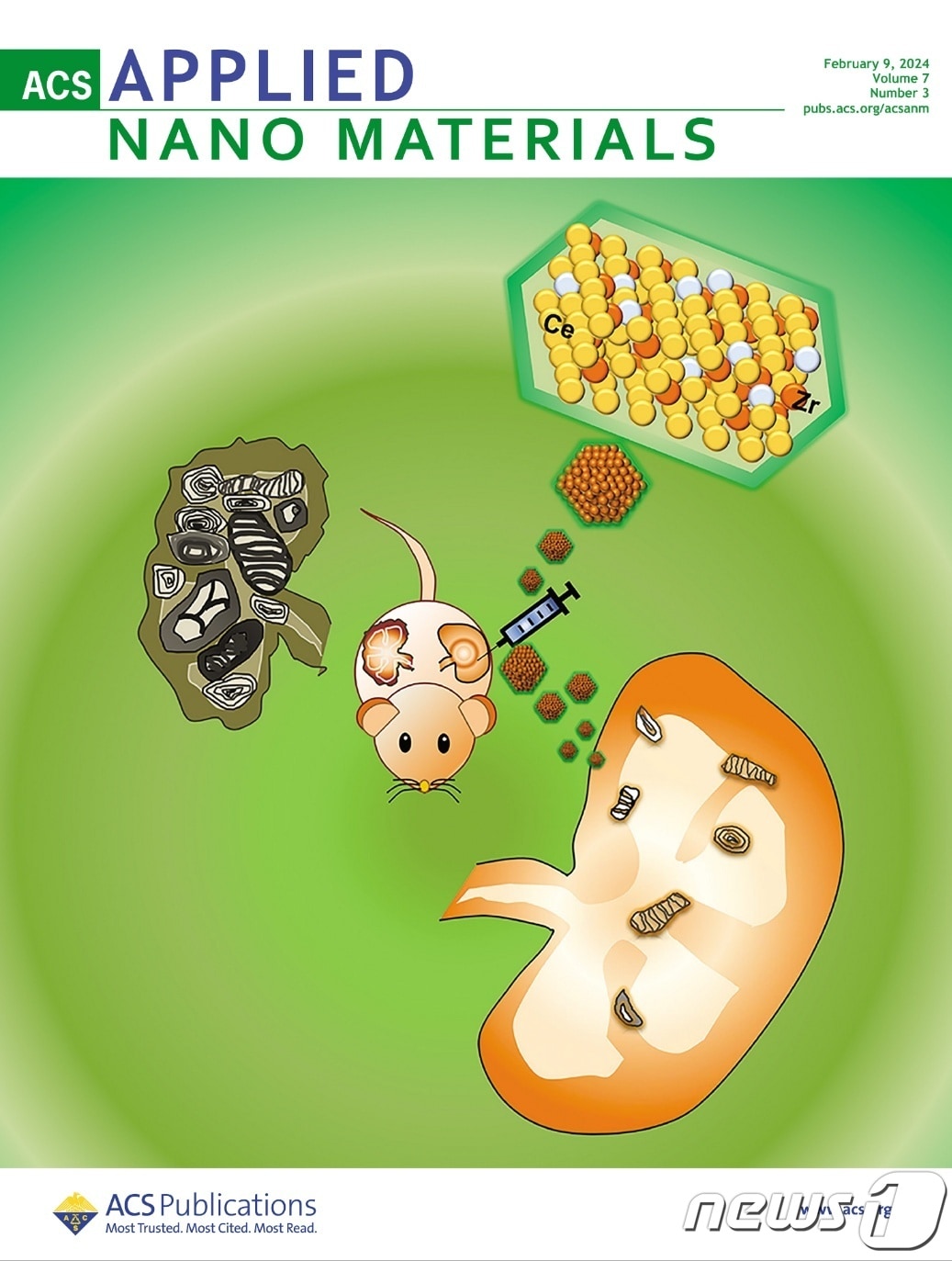 파브리병에 의한 만성 신장 섬유화 개선 연구 모식도. (건양대병원 제공)/뉴스1