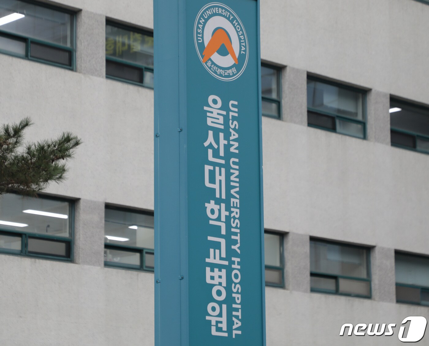 울산대학교병원 ⓒ News1 김지혜 기자