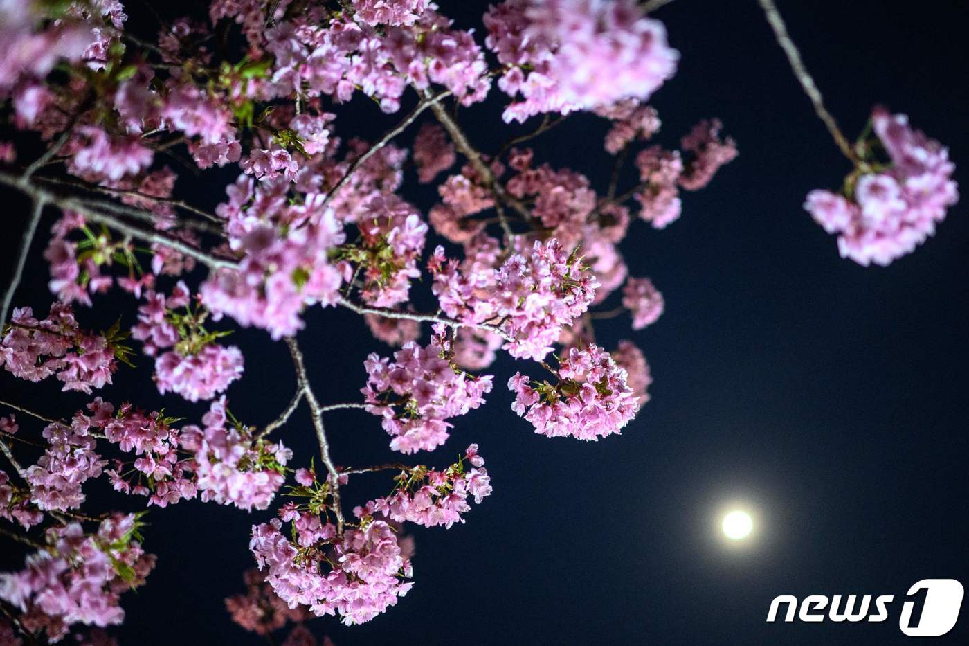 (사진은 기사 내용과 무관함)/ 뉴스1ⓒ News1 권진영 기자