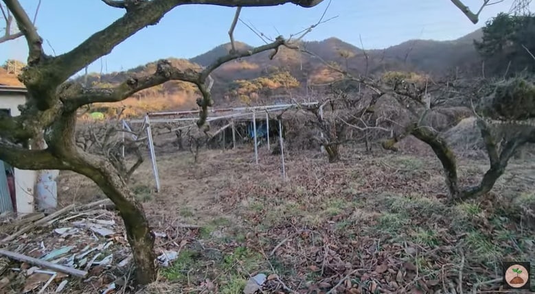 (유튜브 채널 '빠머스' 갈무리)