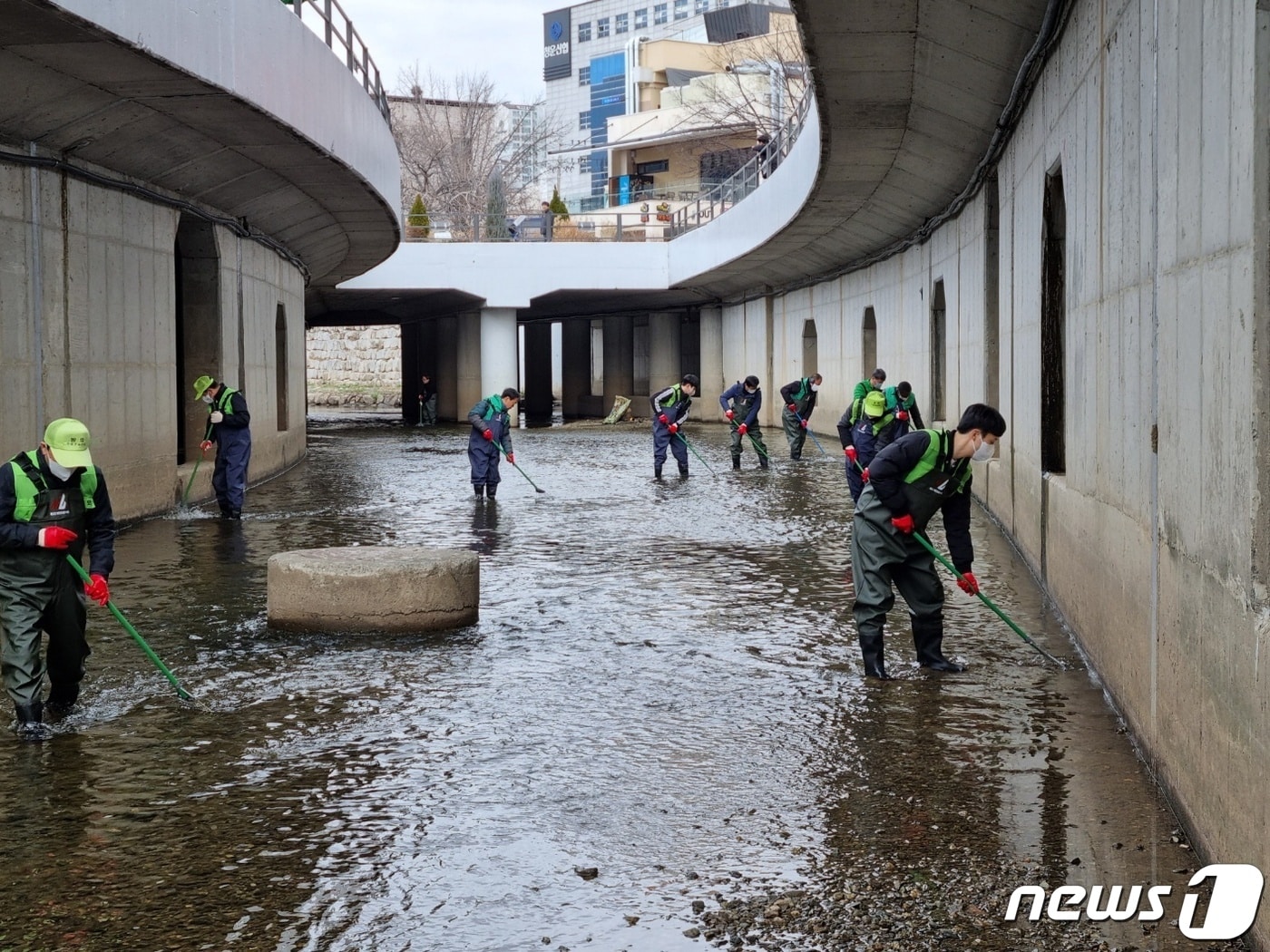 대구 수성구 직원들이 해충 퇴치를 위해 범어천 하류 미복개 구간을 중심으로 환경 정비와 방역을 벌이고 있다. (대구 수성구 제공)
