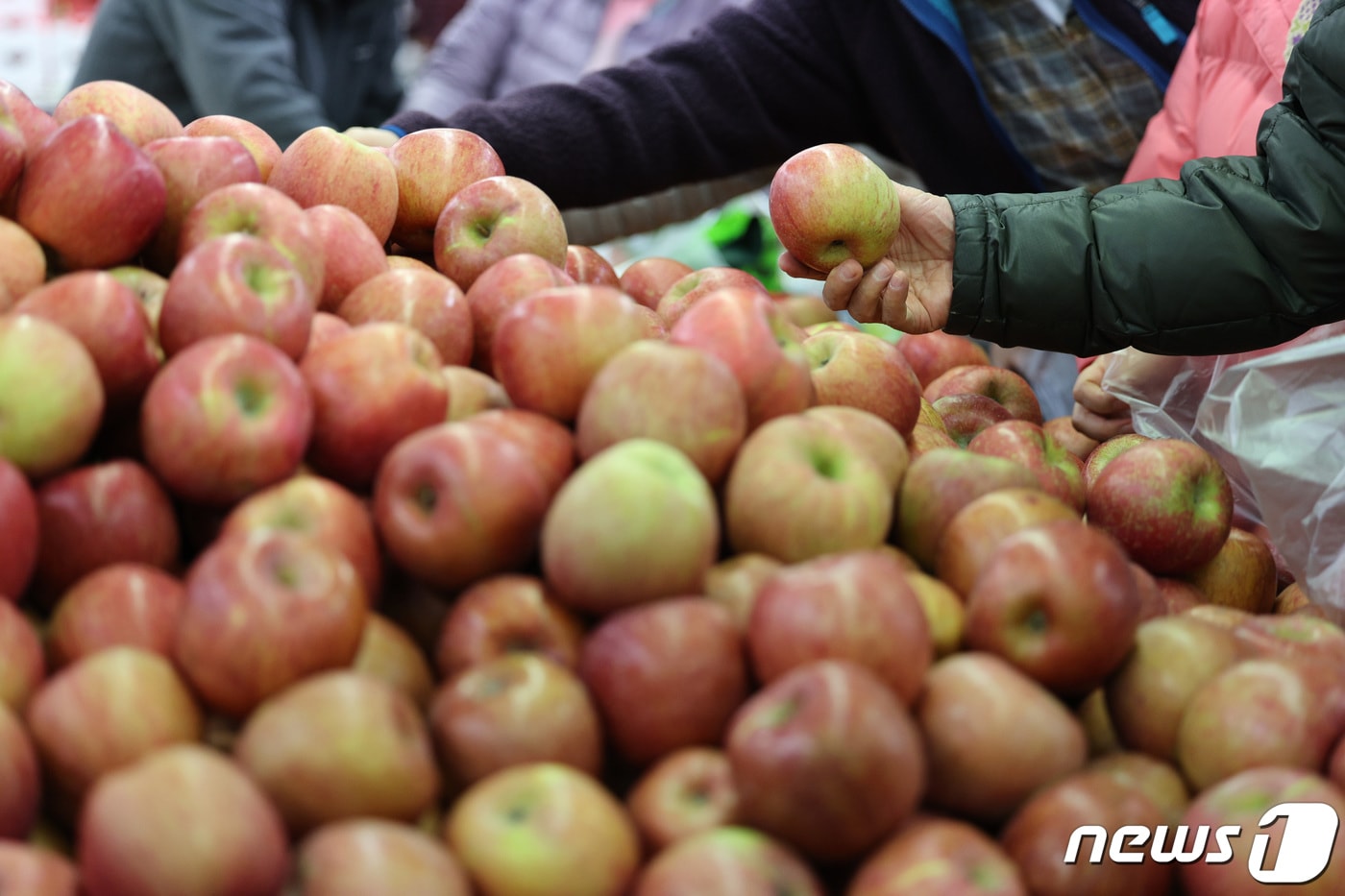 (사진은 기사 내용과 무관함) / 뉴스1 ⓒ News1