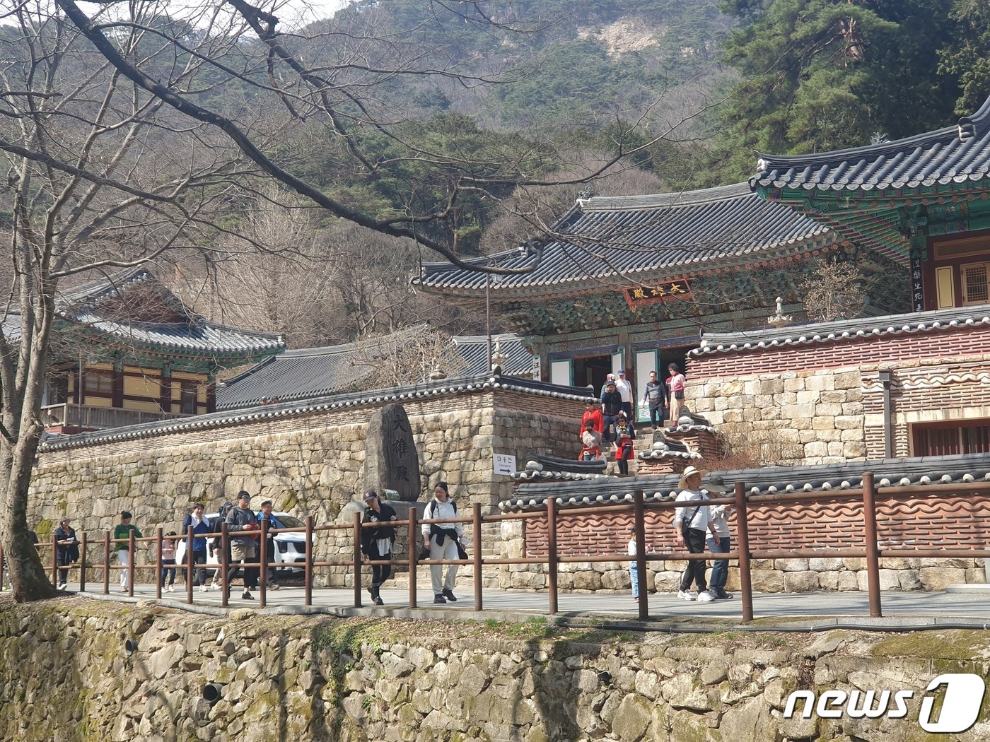16일 계룡산 국립공원에 탐방객들이 동학사 근처를 걷고 있다. (계룡산 국립공원 제공)/뉴스1