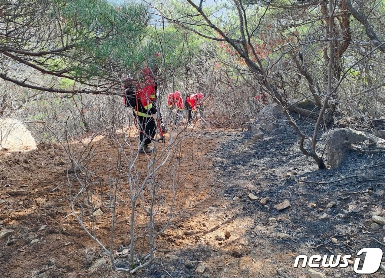 17일 오후 2시24분께 전북자치도 군산시 비응도면 한 야산에서 발생한 화재가 진화됐다.&#40;산림청제공&#41;2024.3.17/뉴스1