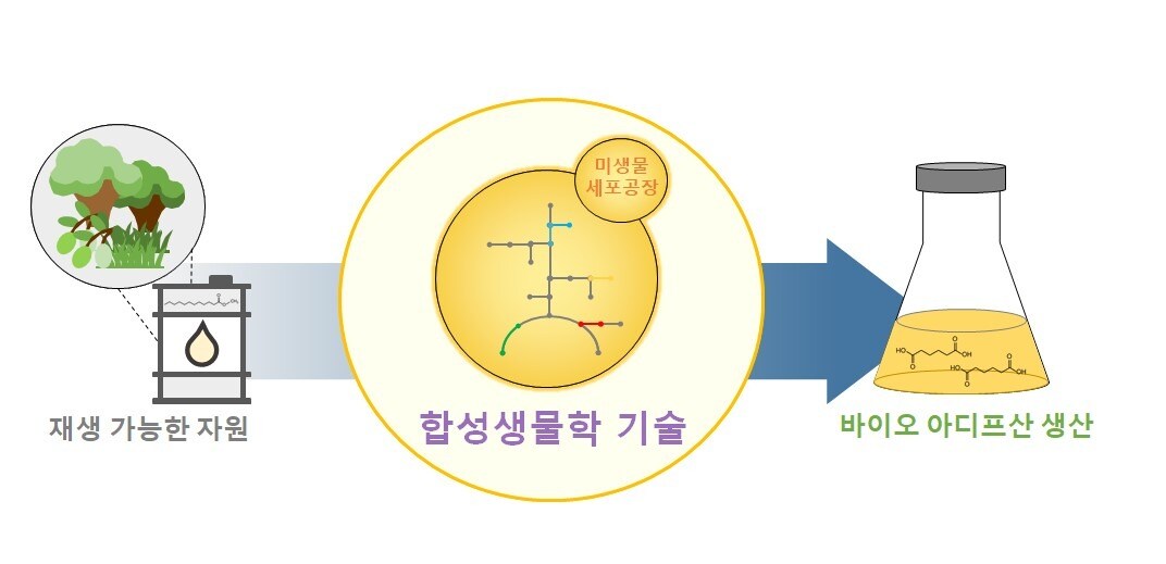미생물 세포공장 개발 모식도. (화학연 제공)/뉴스1