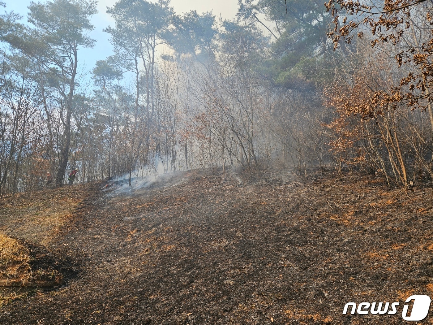 20일 오후 2시26분께 순창군 적성면 괴정리의 한 야산에서 산불이 났다.&#40;산림청 제공&#41;2024.3.20/뉴스