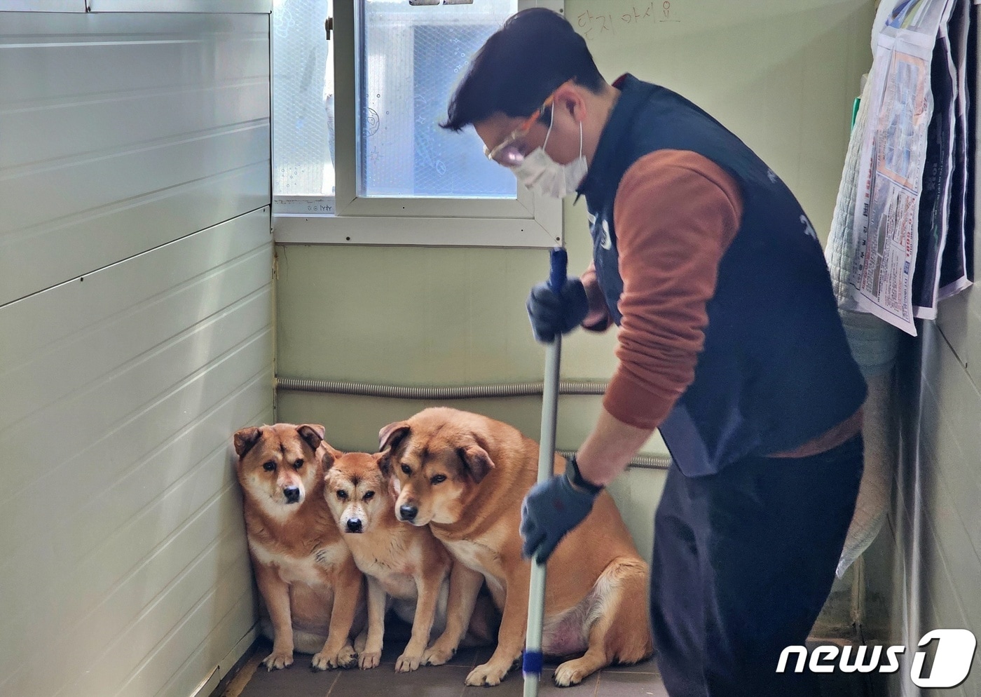 카디날코리아 봉사단체 '쉼'은 22일 동물보호소에서 봉사활동을 실시했다.(카디날코리아 제공) ⓒ 뉴스1