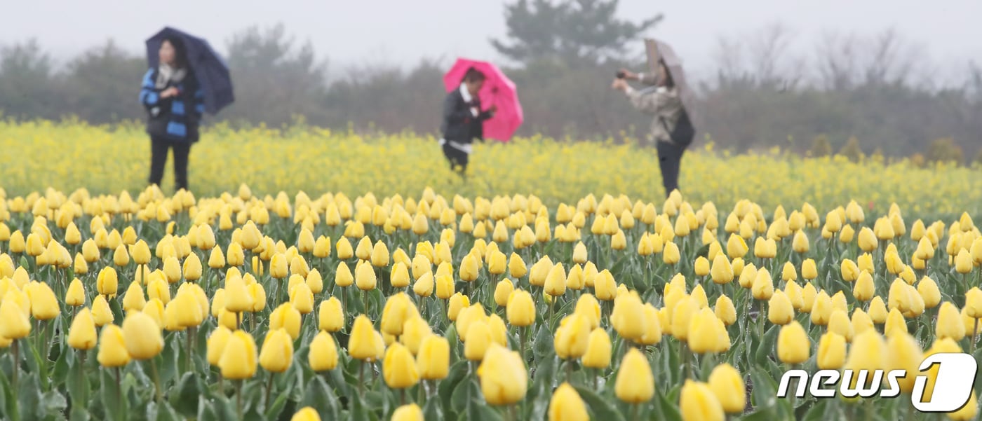 자료사진. ⓒ 뉴스1