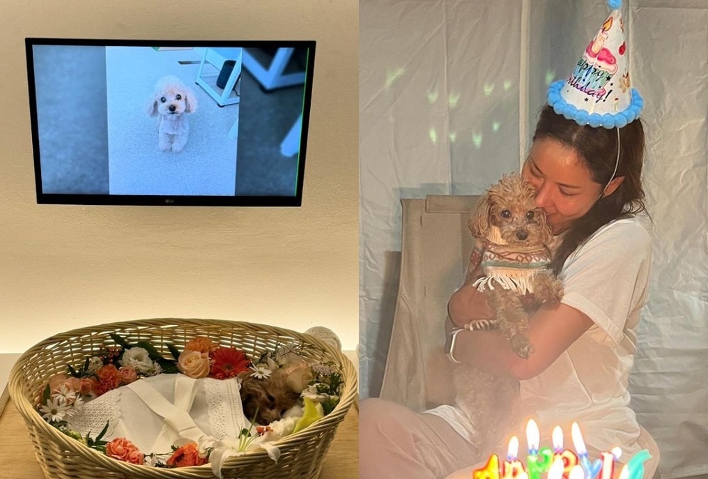 (인스타그램 갈무리)