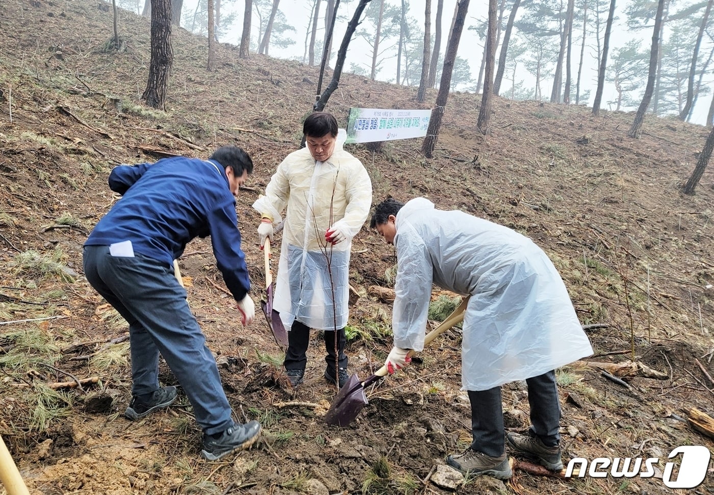 정읍시가 식목일을 기념해 4월 5일 내장산 리조트 일원 자연휴양림 조성지에서 소나무 심기 행사를 진행한다. 나무심기 자료사진&#40;정읍시 제공&#41;2024.3.31/뉴스1 