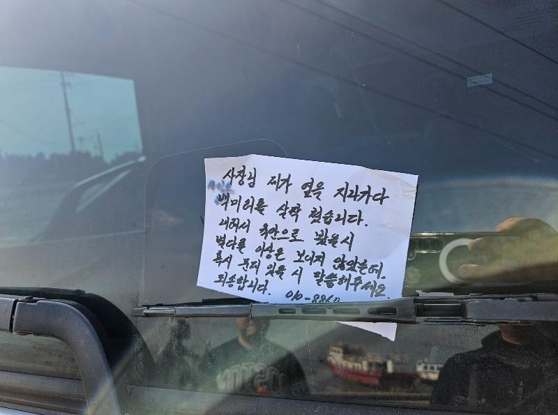 (보배드림 갈무리)