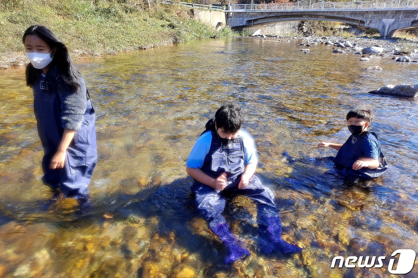 인제산골생태유학 생태환경교육.&#40;인제군 제공&#41;/뉴스1