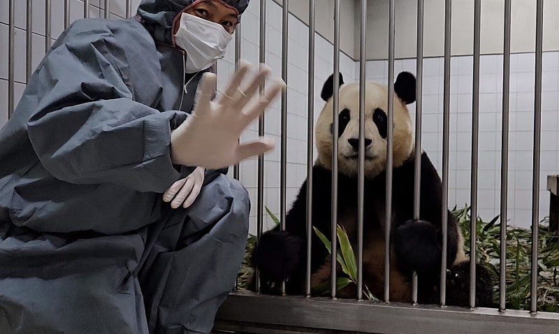 (에버랜드 네이버 팬카페 '주토피아' 갈무리)