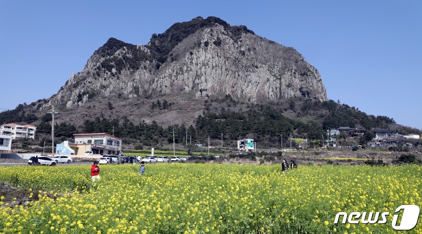 제주 서귀포시 안덕면 산방산.2024.3.8 ⓒ 뉴스1 고동명 기자