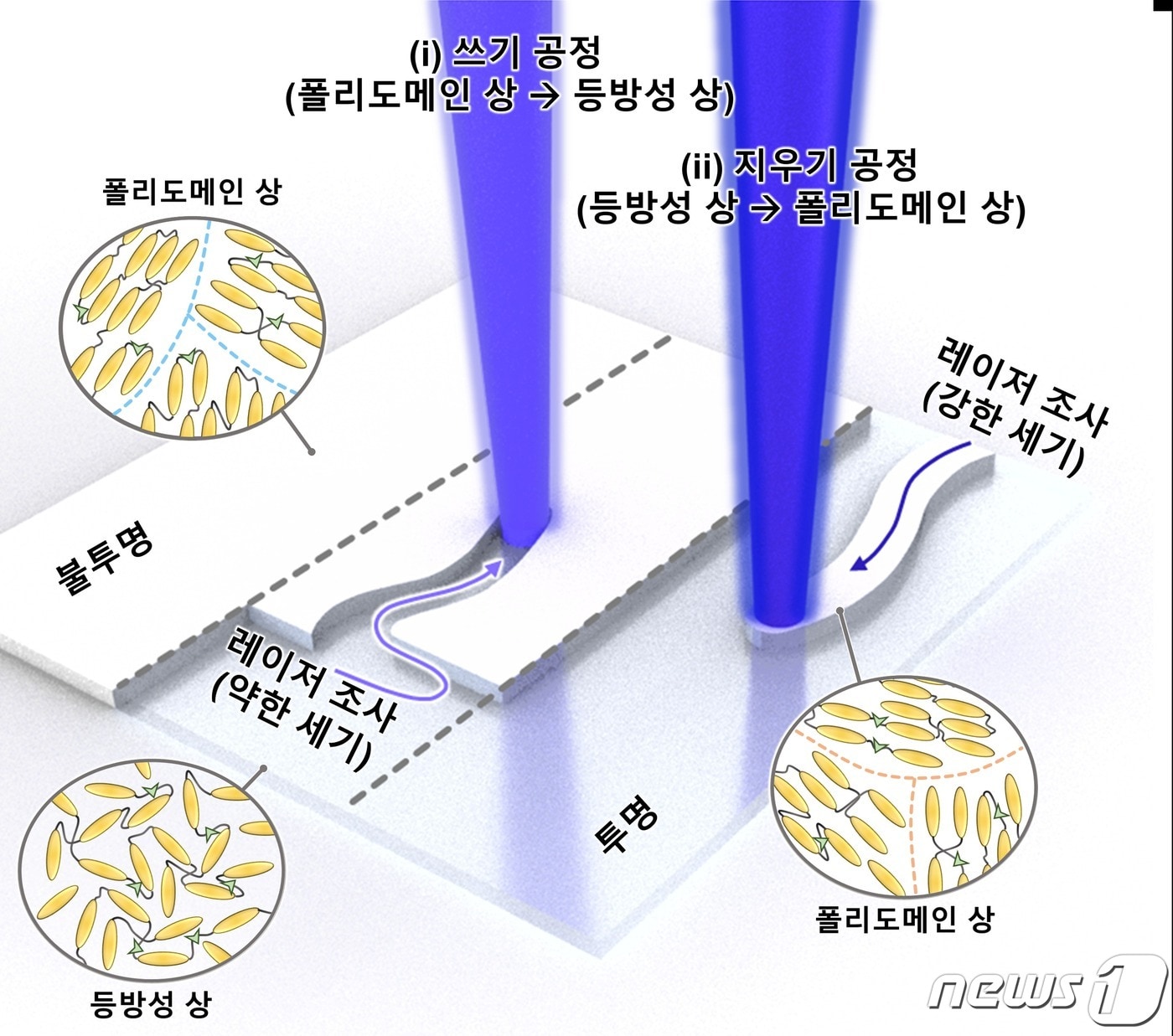 레이저를 활용한 액정탄성체의 위상 패턴 제작. (서울대 제공)/뉴스1