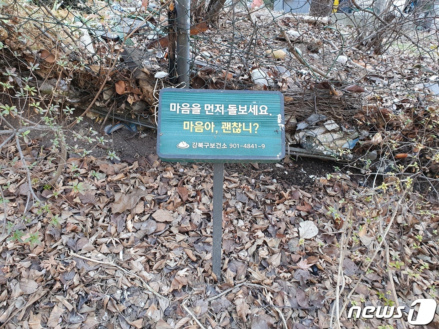 강북구, 생명사랑 마음 건강 숲길 정비 (강북구 제공)