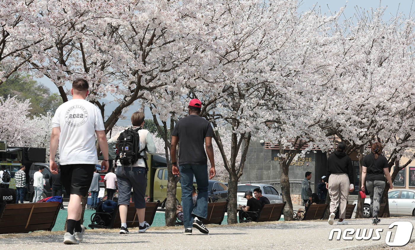 12일 경기 동두천시 캠프 케이시 솔져스 필드에서 미 제2보병사단 210 포병여단 주최로 열린 벚꽃 축제에서 장병들이 휴식을 즐기고 있다. 2024.4.12/뉴스1 ⓒ News1 김성진 기자