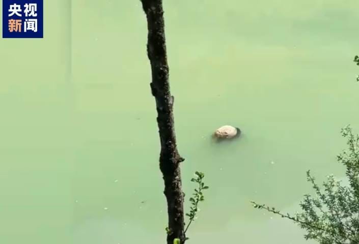 중국 중앙(CC)TV 갈무리